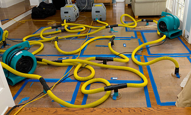 Professional Sewage Cleanup technician working in Milledgeville, IL
