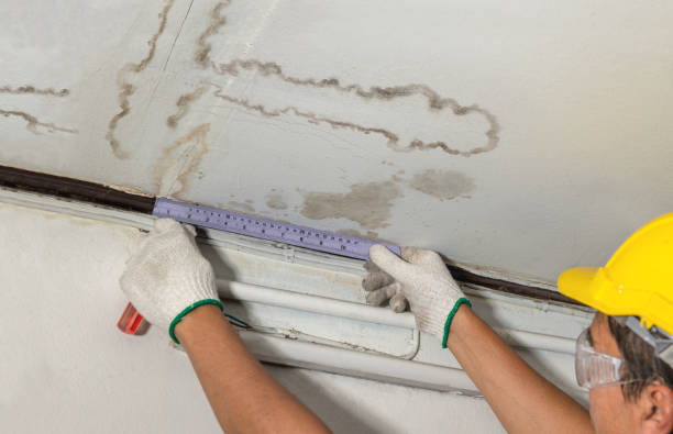 Affordable Water Damage Repair solutions in Milledgeville, IL